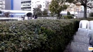 加拿大留学神 不雅泄密